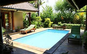 Villa Dolphin Lovina Beach